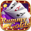 how to play rummy in tamil icon