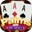 rummy mate icon