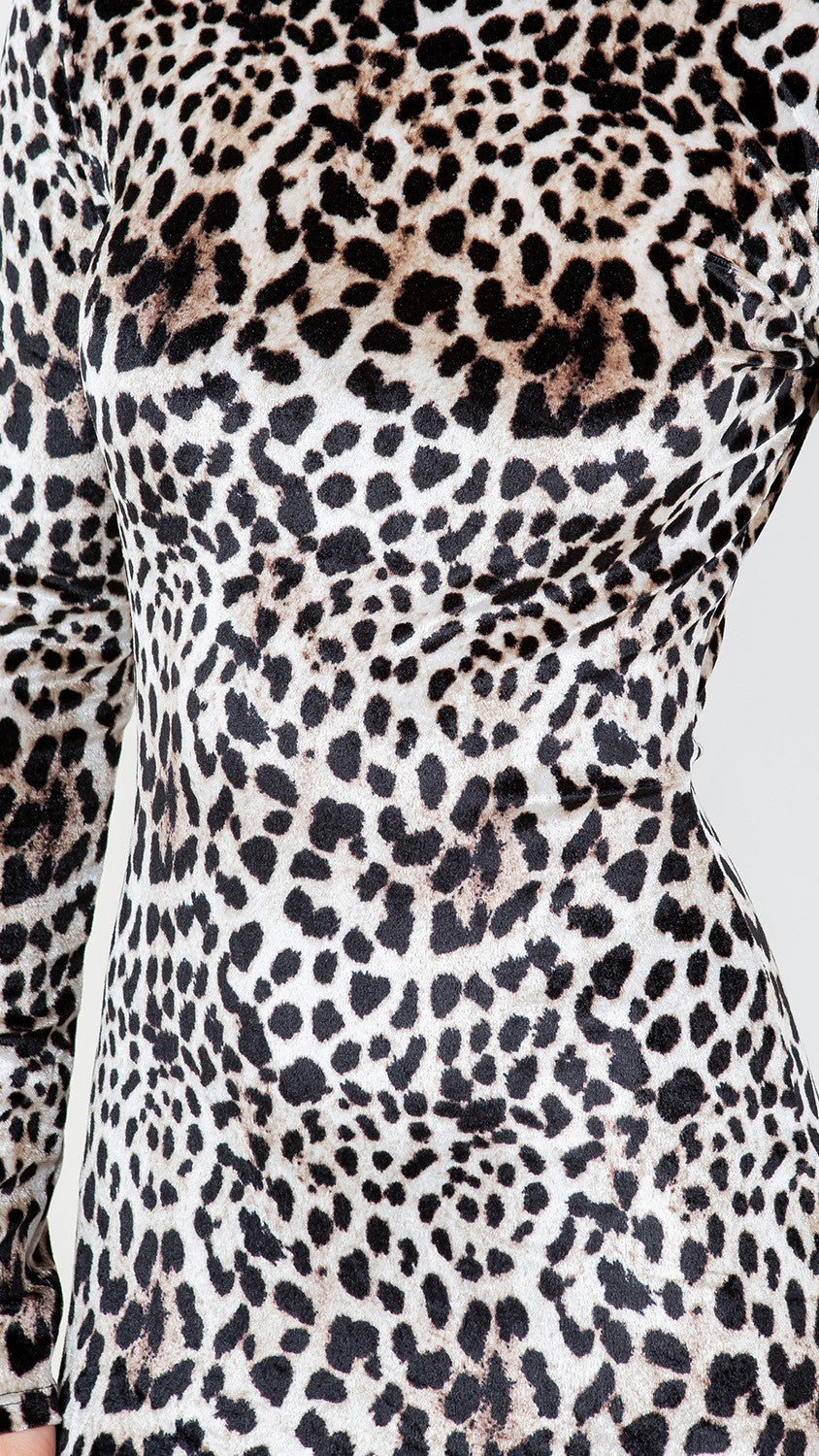 Velvet Leopard Print Dress